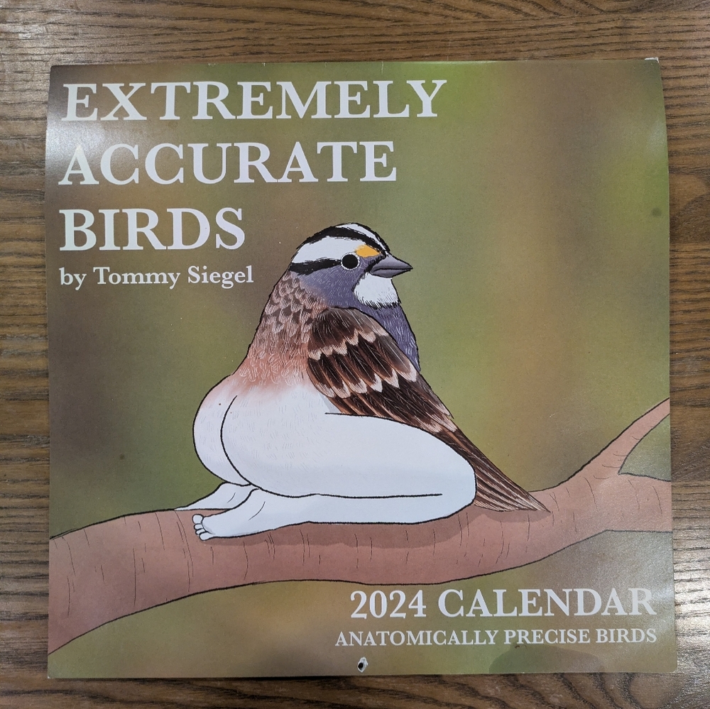 Hilarious "Extremely Accurate Birds" 2024 Calendar
